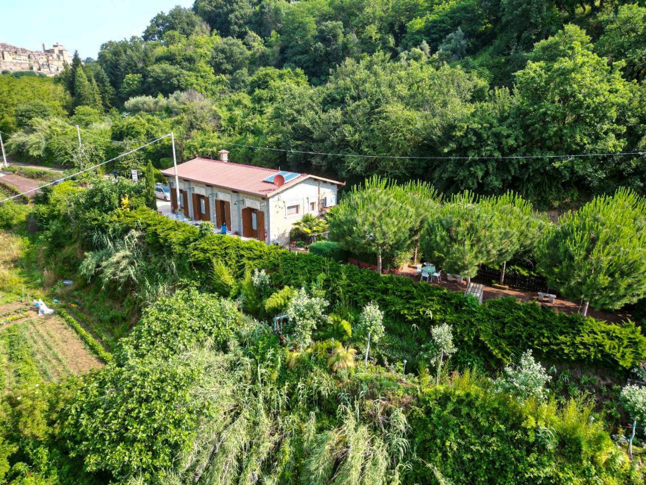 Agriturismo Le Fontane - Lago Di Bolsena Grotte di Castro Exterior foto