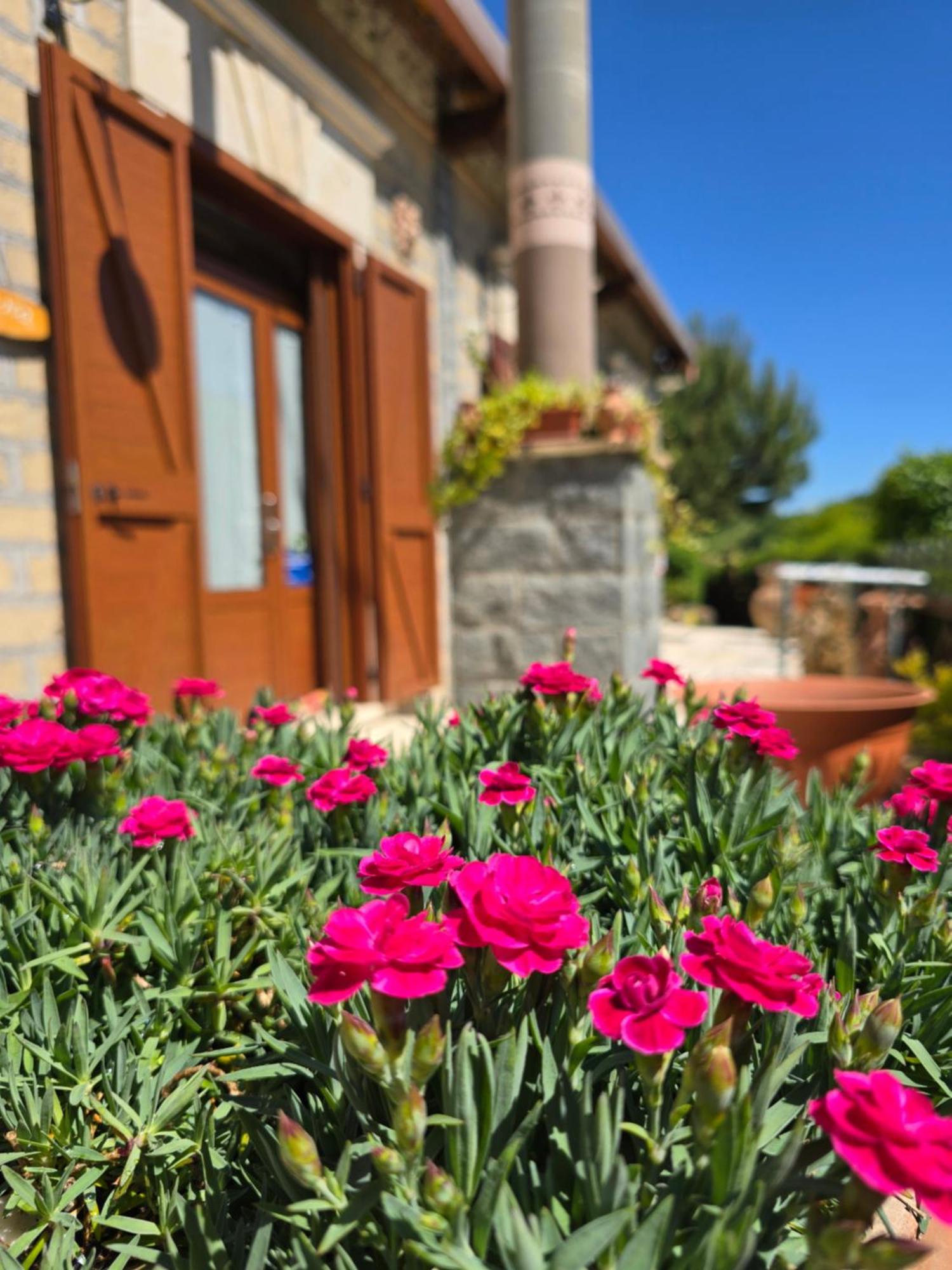 Agriturismo Le Fontane - Lago Di Bolsena Grotte di Castro Exterior foto