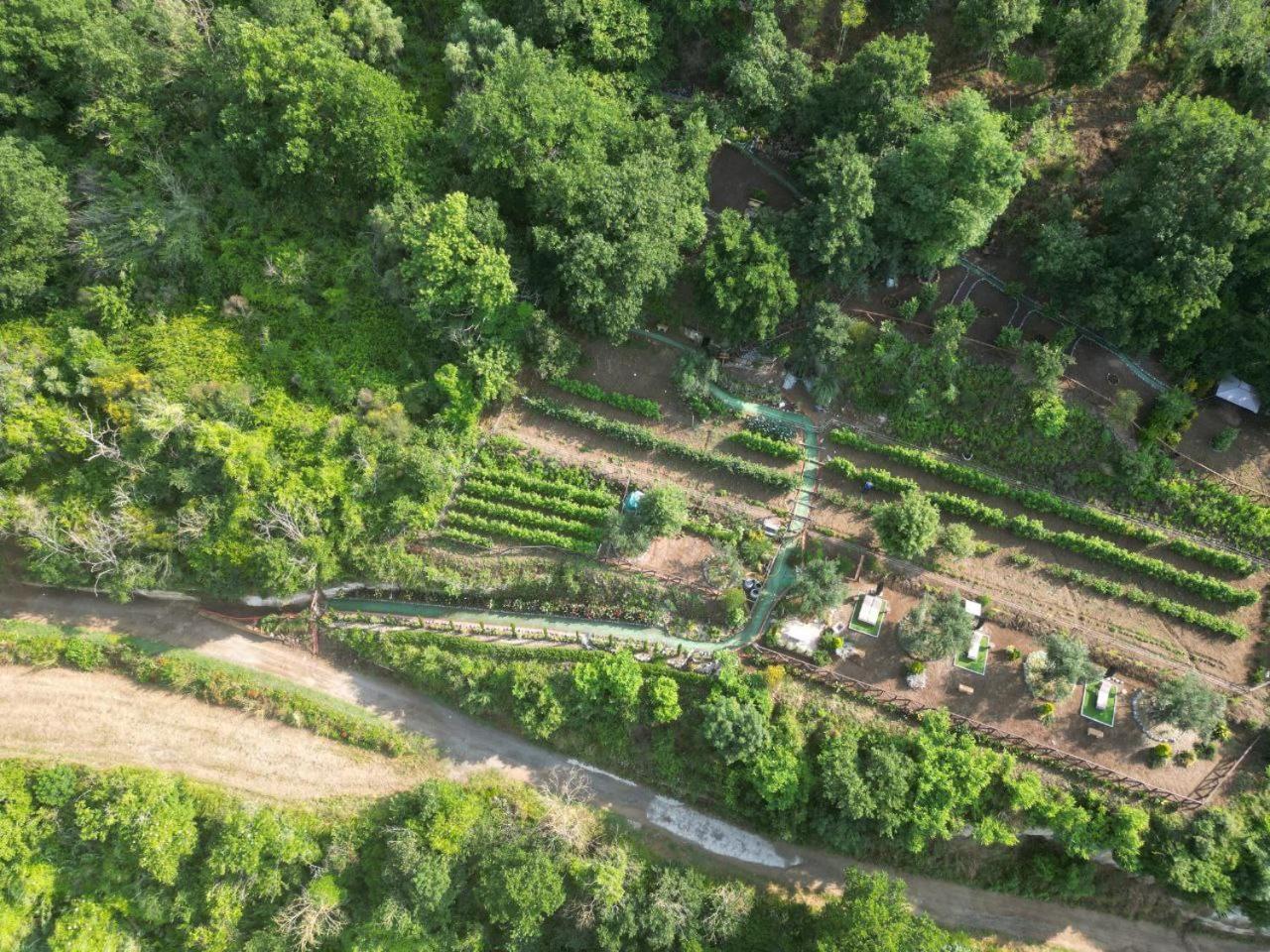 Agriturismo Le Fontane - Lago Di Bolsena Grotte di Castro Exterior foto