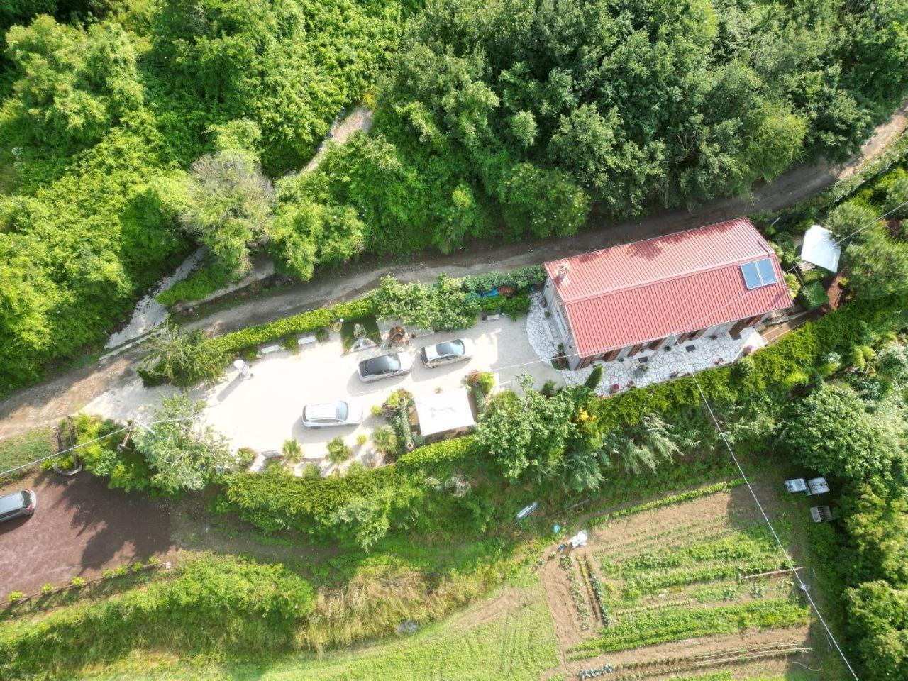 Agriturismo Le Fontane - Lago Di Bolsena Grotte di Castro Exterior foto